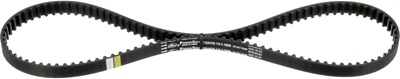 Ford EcoBoost Wet Timing Belt