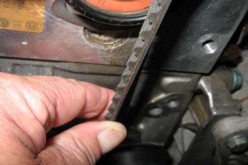 cinghie di distribuzione