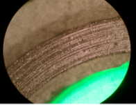 Mechanical Seal Damage