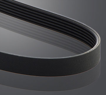 Elastic belts