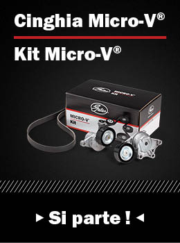 gates-cinghia-microv