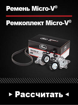 gates-Pемень-microv