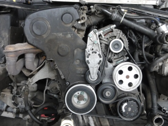 Engine Timing Belt-DOHC Continental Elite 40179